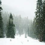 membership site holiday sale